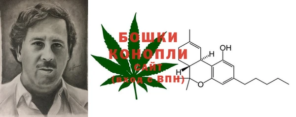 spice Пестово